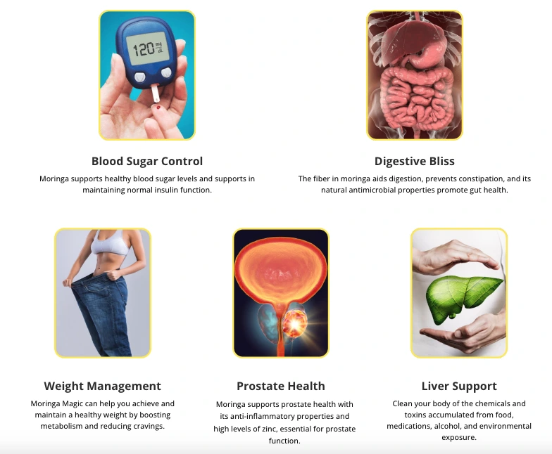 Moringa Magic Supplements