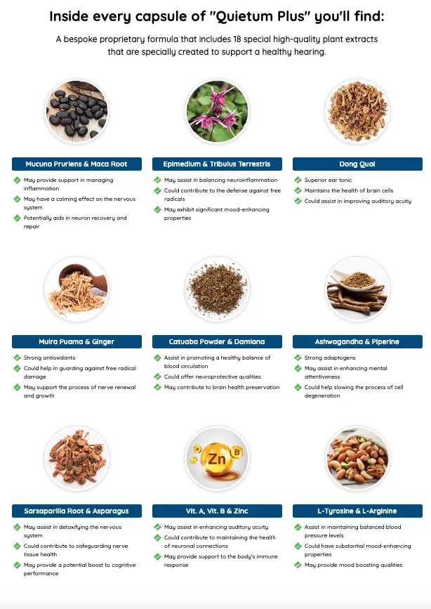 Quietum Plus Supplements